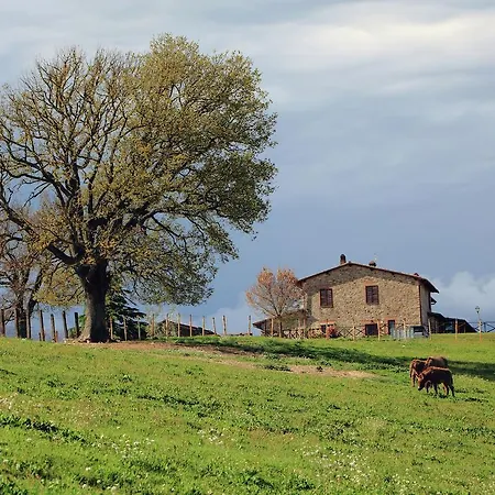 Podere Torricella Piano Terra *