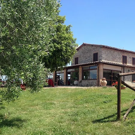 Podere Torricella Piano Terra Alloggio per agriturismo Corbara (Umbria)